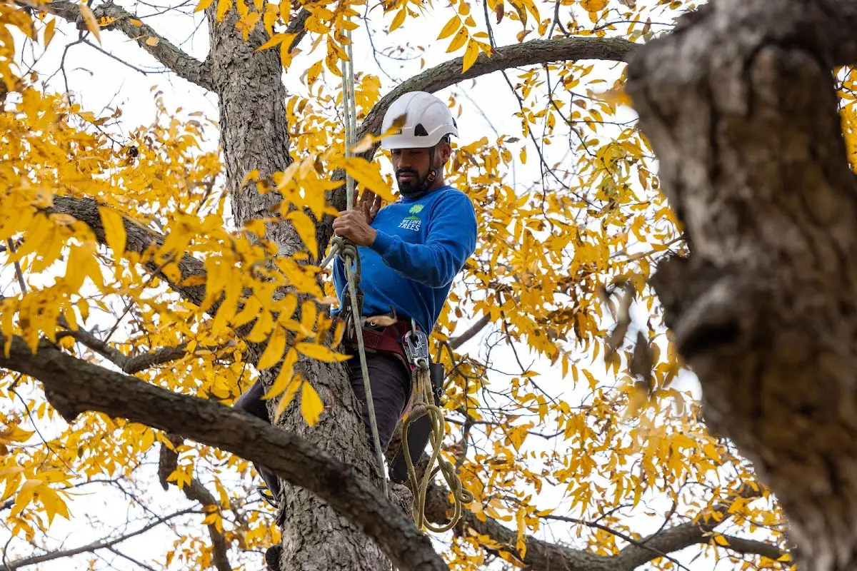 Skilled Storm Damage Cleanup crew working in Sturgis